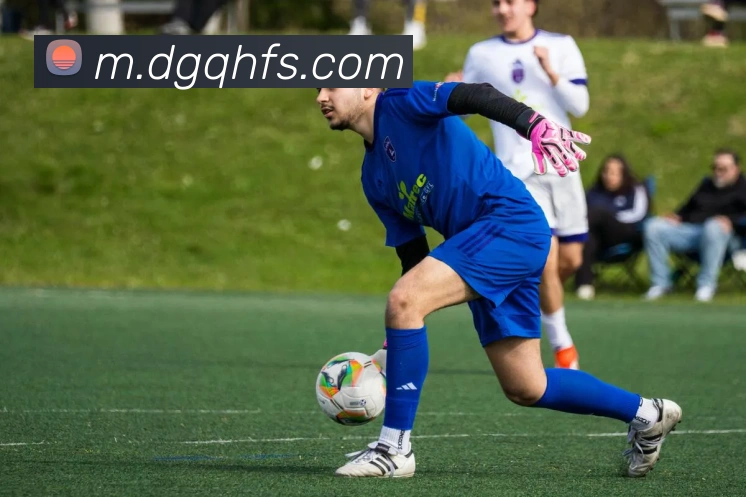 对战数据统计